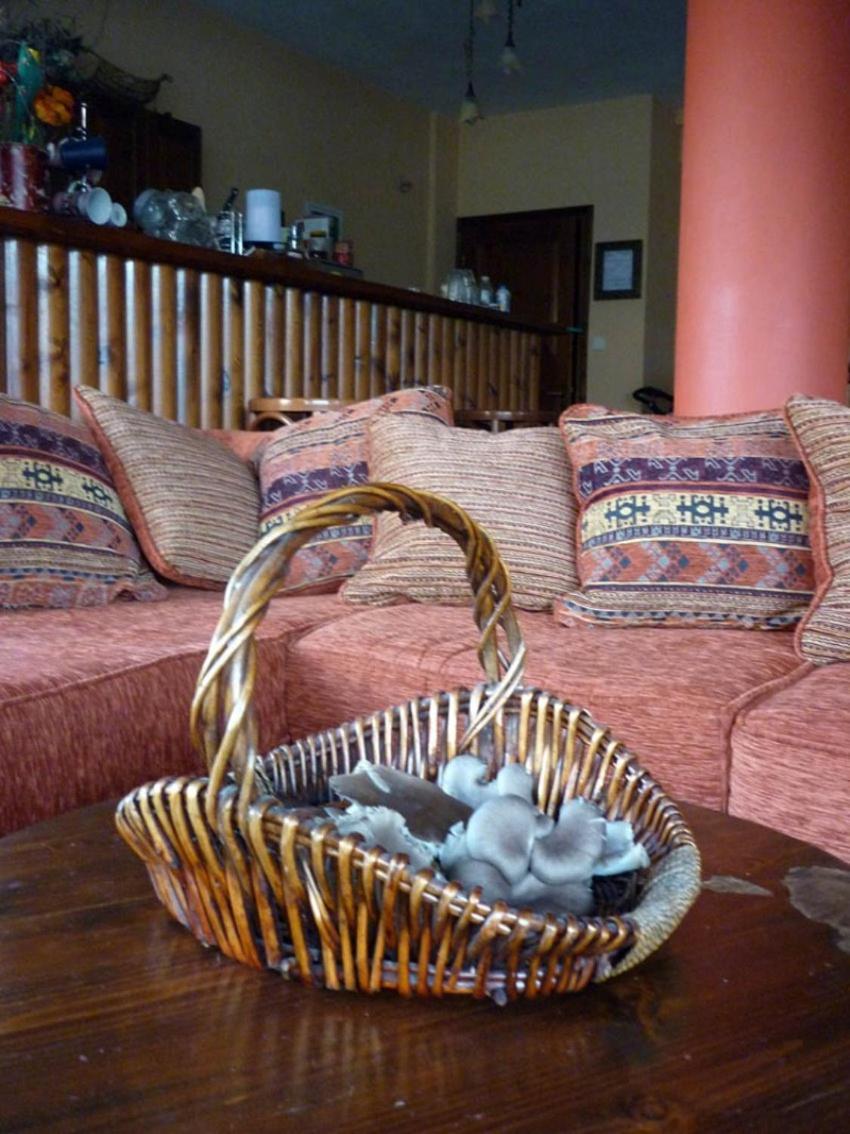 Archontiko Christodoulou Aparthotel Vronteron  Luaran gambar