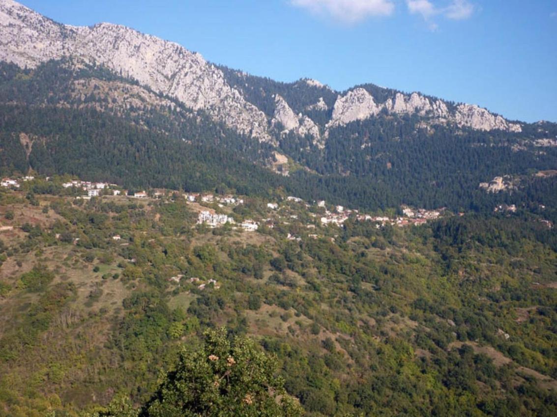 Archontiko Christodoulou Aparthotel Vronteron  Luaran gambar