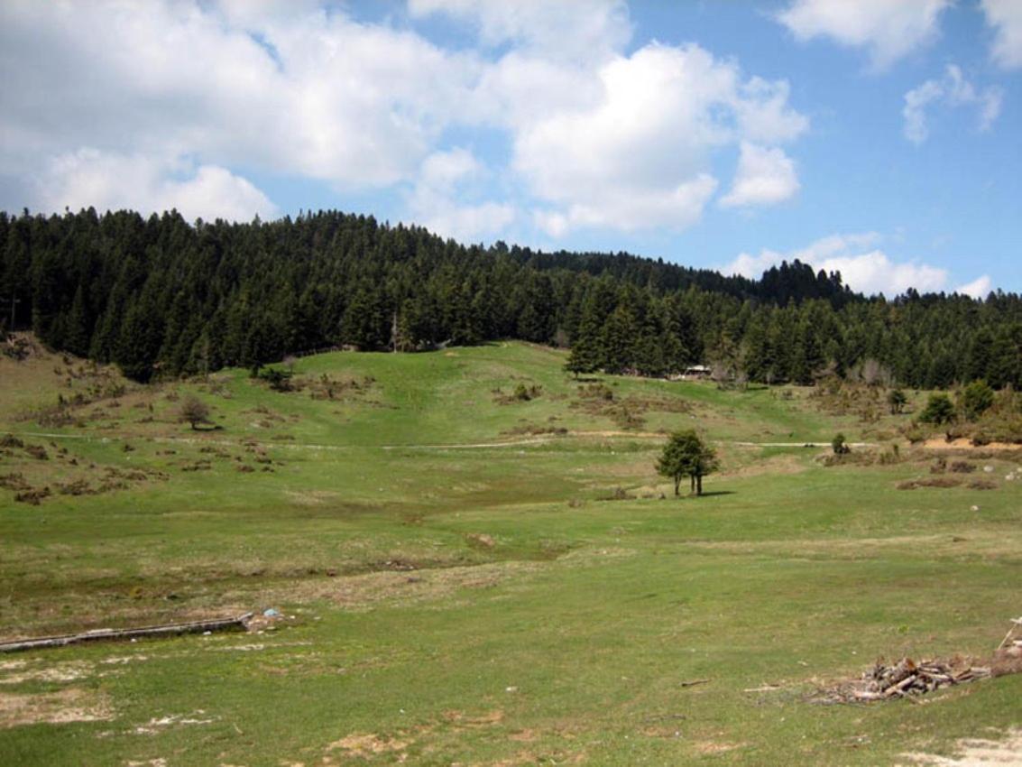 Archontiko Christodoulou Aparthotel Vronteron  Luaran gambar
