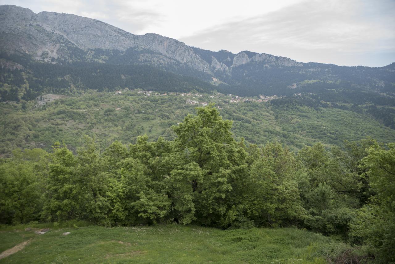 Archontiko Christodoulou Aparthotel Vronteron  Luaran gambar